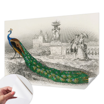 Fototapet för barn Färgglada fjädrar