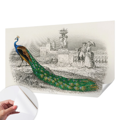 Fototapet för barn Färgglada fjädrar