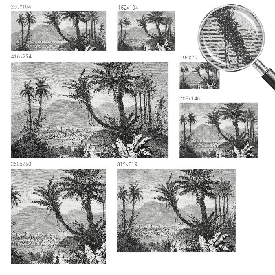Peel and stick fototapet med motiv av en tropisk oas