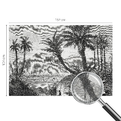 Peel and stick fototapet Tropisk oas