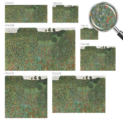 3D fototapet Blomsteräng