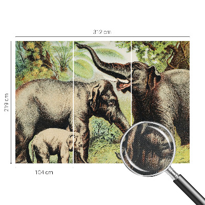 Fototapet barn Familjeelefanter