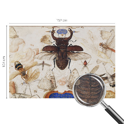 Fototapet barnrum Naturlig harmoni