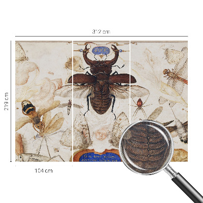 Fototapet barnrum Naturlig harmoni