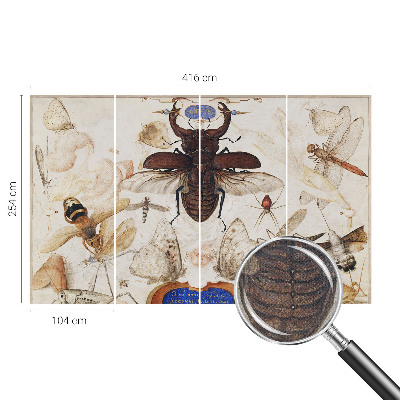 Fototapet barnrum Naturlig harmoni