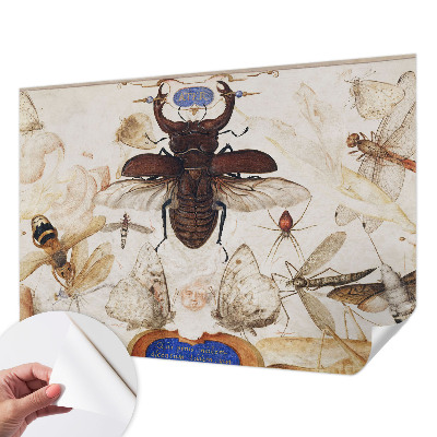 Fototapet barnrum Naturlig harmoni