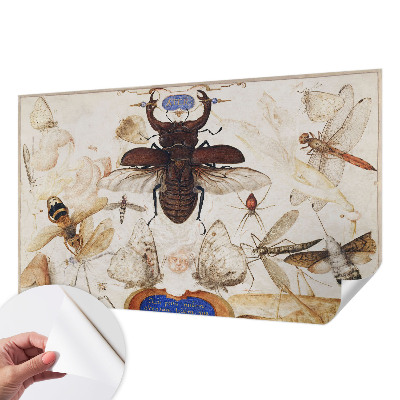 Fototapet barnrum Naturlig harmoni