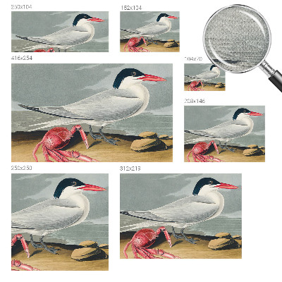 Fototapet barnrum Havslandskap