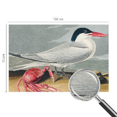 Fototapet barnrum Havslandskap