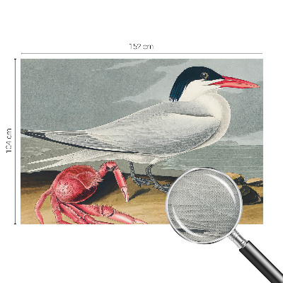 Fototapet barnrum Havslandskap