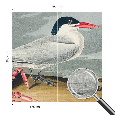 Fototapet barnrum Havslandskap