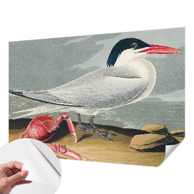 Fototapet barnrum Havslandskap