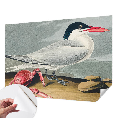 Fototapet barnrum Havslandskap