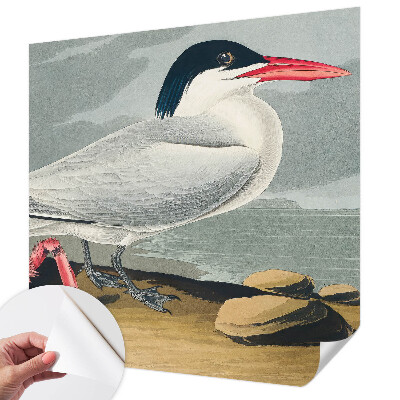 Fototapet barnrum Havslandskap