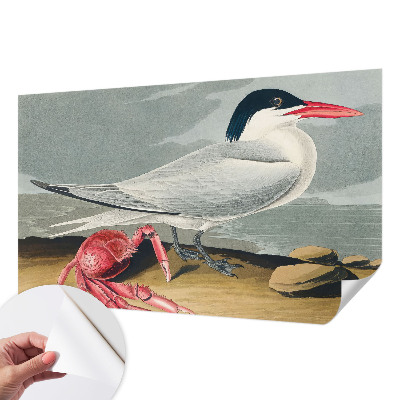 Fototapet barnrum Havslandskap