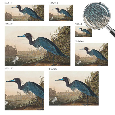 Självhäftande fototapet Vattenfåglar