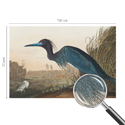 Självhäftande fototapet Vattenfåglar