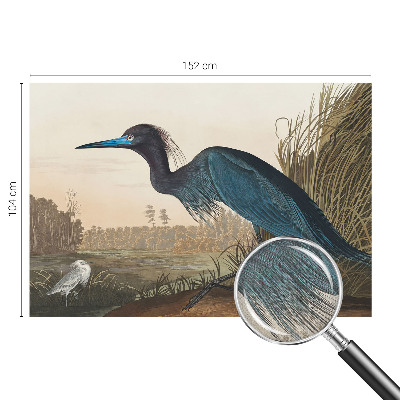 Självhäftande fototapet Vattenfåglar