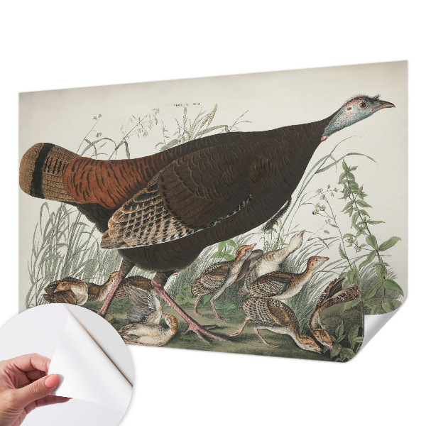 Fototapet barn Naturlig harmoni