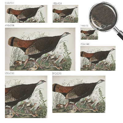 Fototapet barn Naturlig harmoni