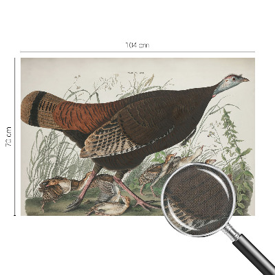 Fototapet barn Naturlig harmoni