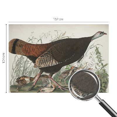 Fototapet barn Naturlig harmoni