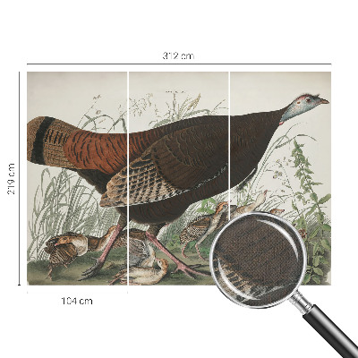 Fototapet barn i en naturlig och harmonisk design