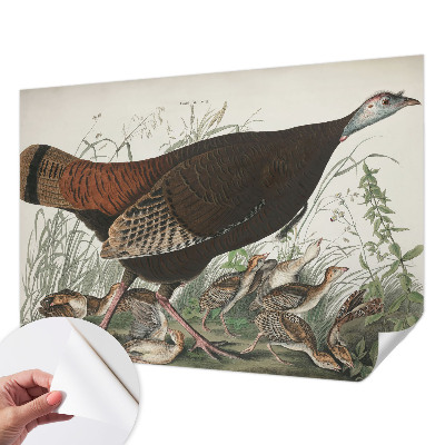 Fototapet barn Naturlig harmoni