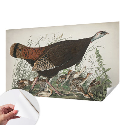 Fototapet barn i en naturlig och harmonisk design