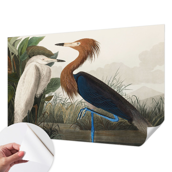 Självhäftande fototapet Fåglar i växter