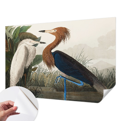 Självhäftande fototapet Fåglar i växter