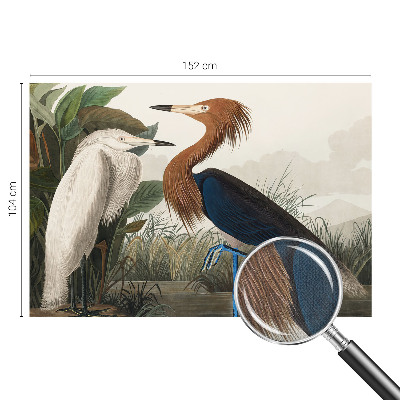 Självhäftande fototapet Fåglar i växter