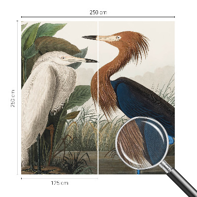 Självhäftande fototapet Fåglar i växter