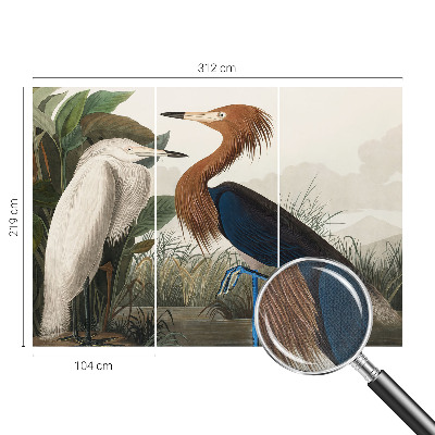 Självhäftande fototapet Fåglar i växter