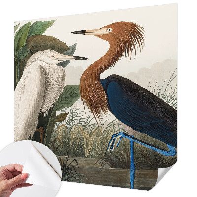 Självhäftande fototapet Fåglar i växter