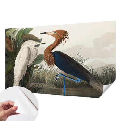 Självhäftande fototapet Fåglar i växter