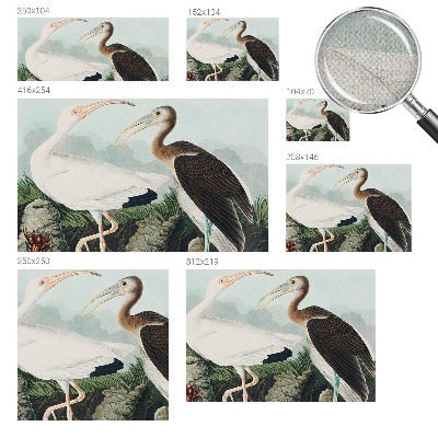 Fototapet för barn Fågelpar