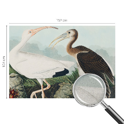 Fototapet för barn Fågelpar