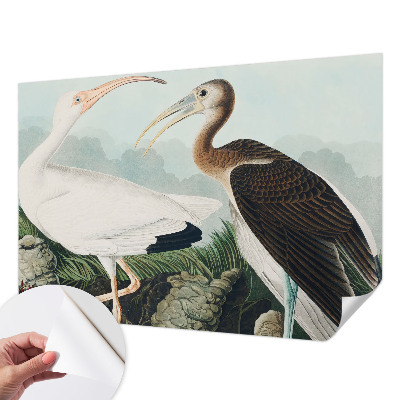 Fototapet för barn Fågelpar