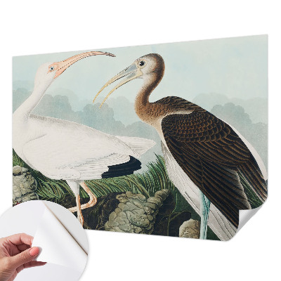 Fototapet för barn Fågelpar