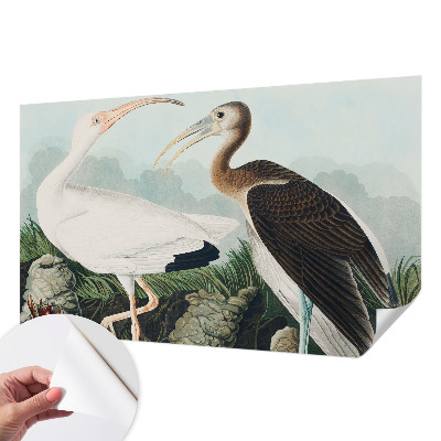 Fototapet för barn Fågelpar