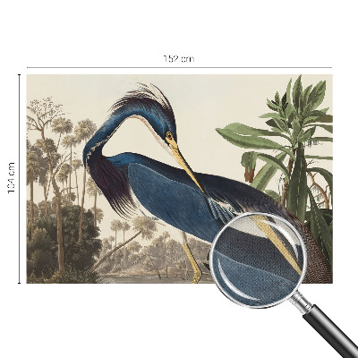 3D fototapet med motiv av exotisk natur