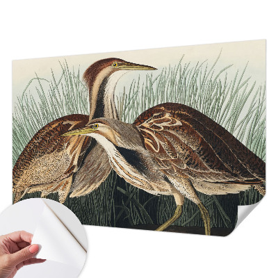 Självhäftande fotovägg Realistiska fåglar