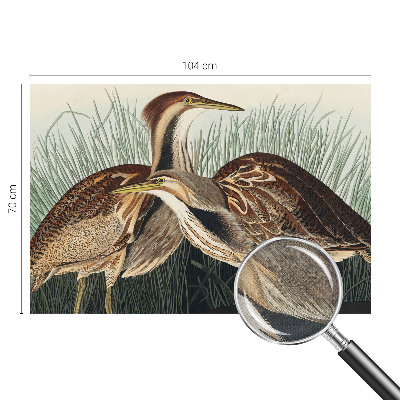 Självhäftande fotovägg Realistiska fåglar