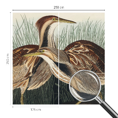 Självhäftande fotovägg Realistiska fåglar