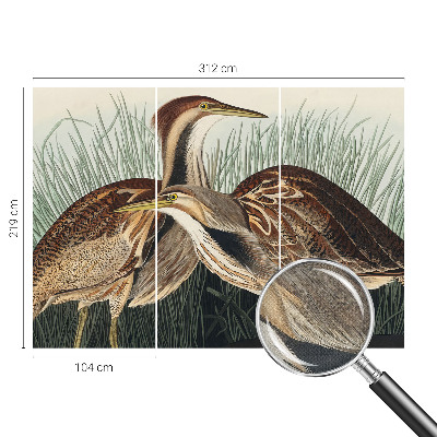 Självhäftande fotovägg Realistiska fåglar