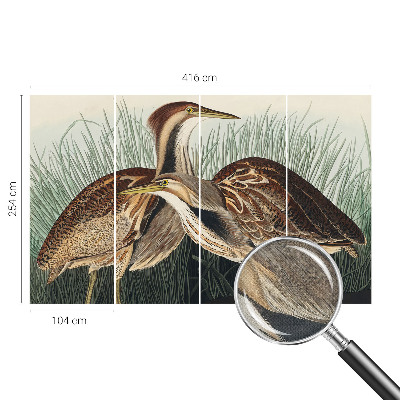 Självhäftande fotovägg Realistiska fåglar