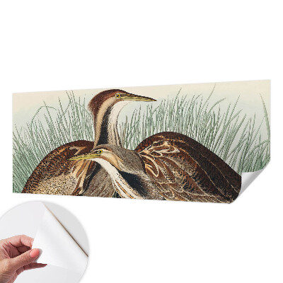 Självhäftande fotovägg Realistiska fåglar