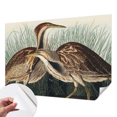 Självhäftande fotovägg Realistiska fåglar