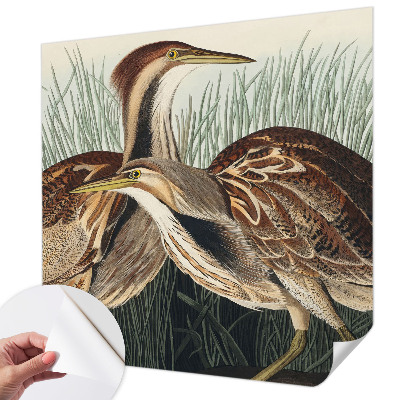 Självhäftande fotovägg Realistiska fåglar